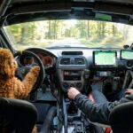 The dog drive a rally car ​